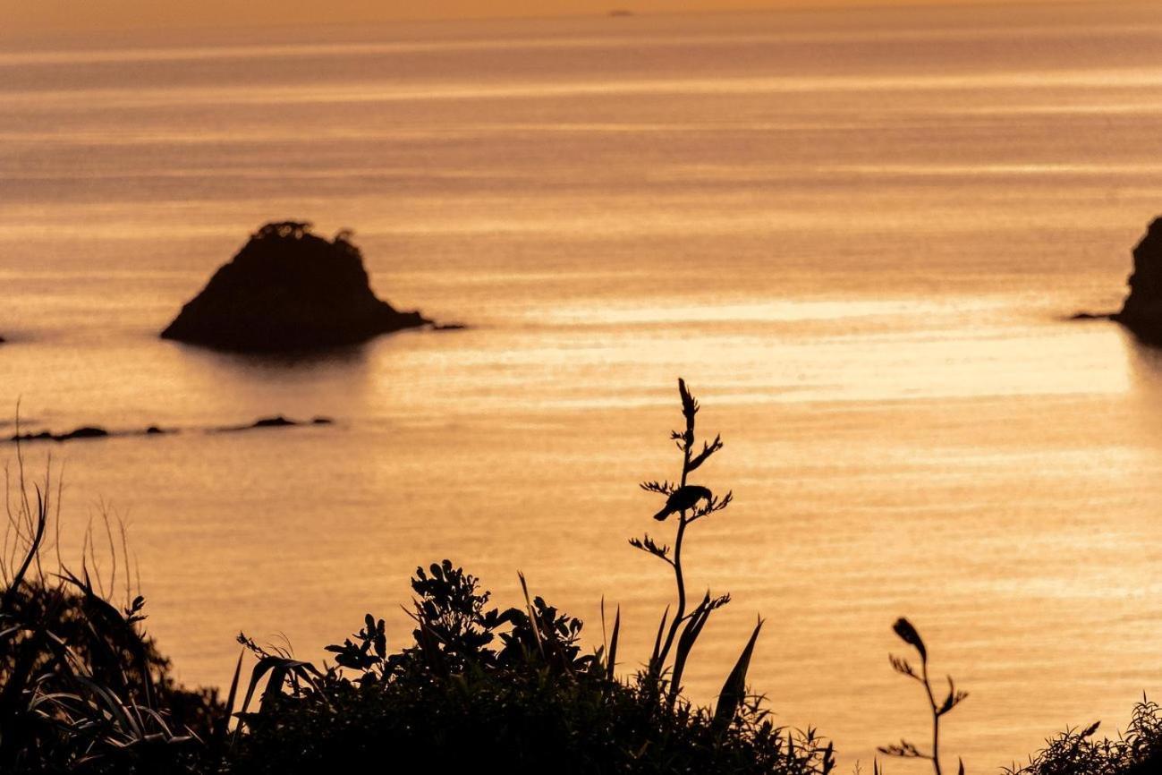Cathedral Cove And Sunrise Apartment ฮาเฮอิ ภายนอก รูปภาพ